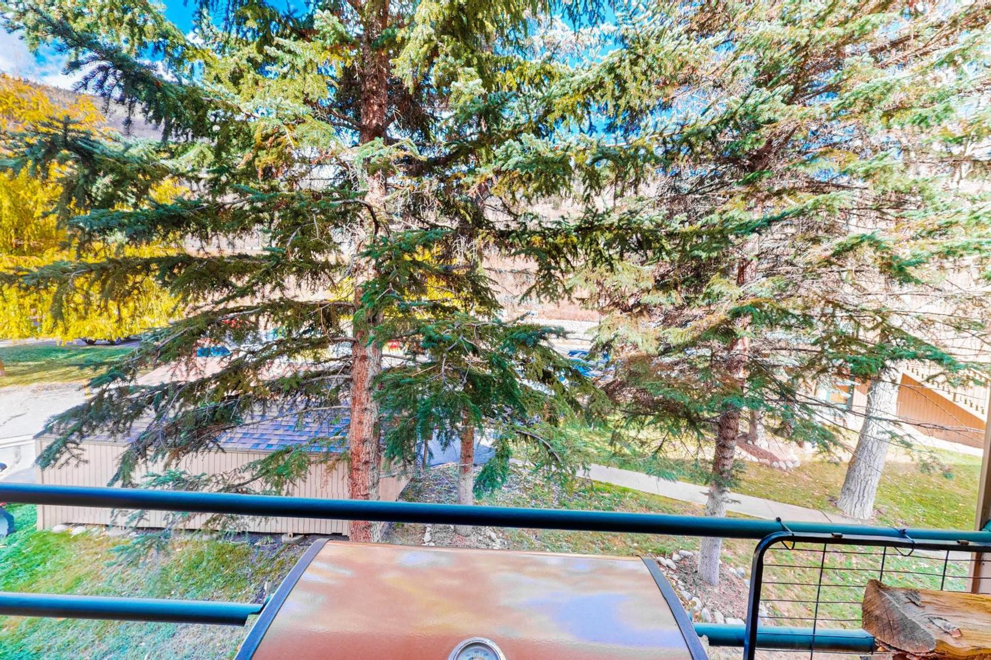 Villa Pitkin Creek Park 7 Vail Habitación foto